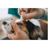 clínica veterinária de cães e gatos Condomínio Veigas
