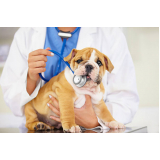 clínica veterinária mais próxima telefone Jardim Santa Mena