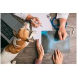 clínica veterinária mais próximo de mim telefone Osasco