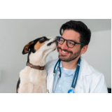 clínica veterinária perto de mim Jardim Aracília