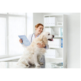 clínica veterinária próxima telefone Guarulhos
