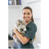 clínica veterinária próximo a mim telefone São Roque