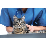 clínica veterinária próximo a mim Cidade Soberana