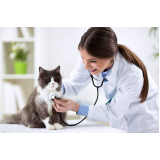 clínica veterinária telefone São Domingos