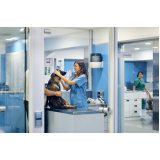 Clínica Veterinária São Paulo