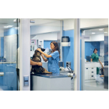 consulta veterinária para cachorro marcar Suzano