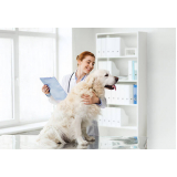consulta veterinária para cachorros marcar Vila Progresso