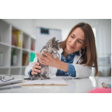 consulta veterinária para gato marcar Centro