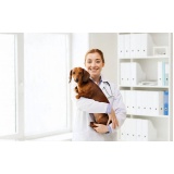 consultório veterinário cães e gatos telefone Vila Milton