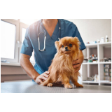 consultório veterinário pet Cabuçu