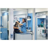 Consultório Veterinário Cães e Gatos