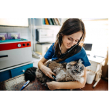 contato de clínica veterinária com atendimento residencial Jardim Presidente Dutra