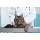 contato de hospital pet veterinário Parque Renato Maia