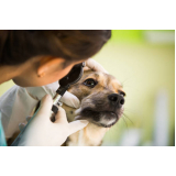 contato de oftalmologista de cachorro Parque Continental