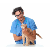 contato de oftalmologista para gatos Cabuçu