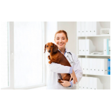 dermatologista para cães contato Parque Santos Dumont
