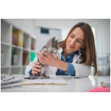 endereço de consultório veterinário especializado em gatos Jardim Aracília