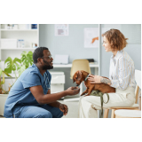 internação de emergência para cães contato Casa Verde