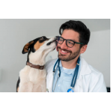 neurologista para cachorro Vila Galvão