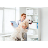 neurologista para cachorros endereço Água Azul