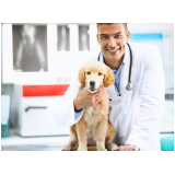 neurologista veterinário próximo de mim contato CECAP