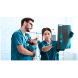 onde encontrar neurologista veterinário próximo Jardim Ipanema
