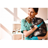 onde encontrar veterinário dermatologista próximo de mim Gopoúva
