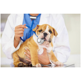 onde encontrar veterinário mais próximo Arujá