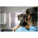 onde faz aplicação de vacina antipulgas para gatos e cachorros Vila Rosália