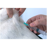 onde faz aplicação de vacina em filhotes de cães Macedo