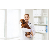 onde faz consulta veterinária para cachorros Vila Alzira