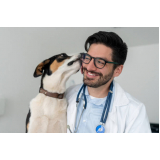 onde faz consulta veterinária para cães Jardim Fortaleza