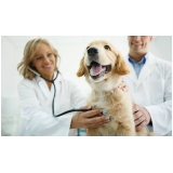 onde marcar consulta veterinária para cachorros Jardim Álamo