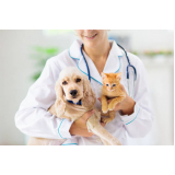 onde marcar consulta veterinária para cães Brás