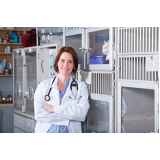 onde tem dermatologista de cachorro Vila Hulda