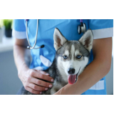 onde tem vacina contra raiva em cachorro Vila Rosália