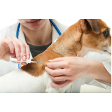 onde tem vacina contra raiva para cachorro Jardim Oliveira,