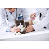 onde tem vacina de raiva para gatos Condomínio Veigas