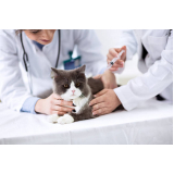 onde tem vacina de raiva para gatos Itaim