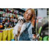 onde vende acessório para cães Mandaqui