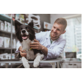 onde vende medicamento veterinários para cães Jardim Ipanema