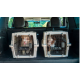 pet shop com táxi dog perto de mim Itaquaquecetuba