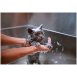pet shop leva e traz contato CECAP