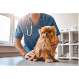remédio para giárdia em cães Mairiporã