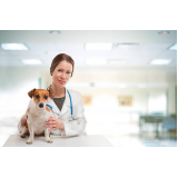 remédios de verme para cachorro filhote Centro