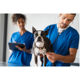 Medicamento Veterinários para Cães