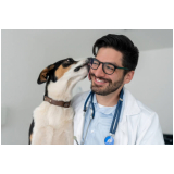 remédios para carrapato cachorro Fernão Dias