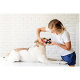 serviço de limpeza periodontal em cães Arujá
