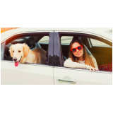 táxi de cachorro agendar Condomínio Veigas