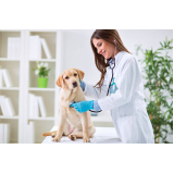 telefone de clínica veterinária mais próximo de mim Vila Augusta